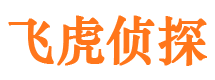 萧县市侦探公司